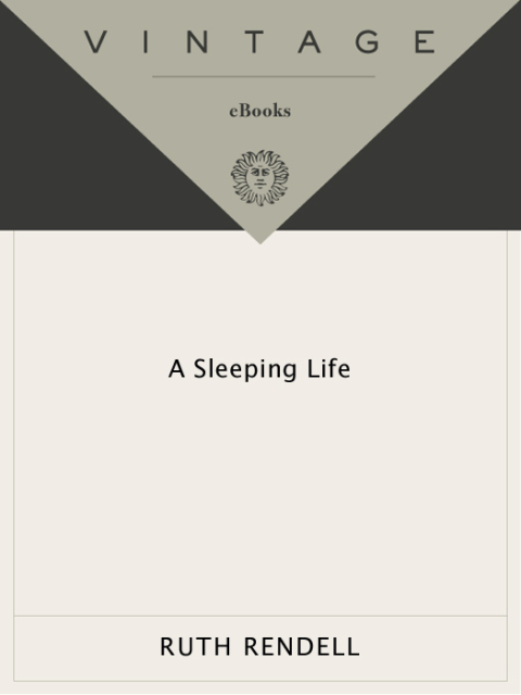Cover image for book A Sleeping Life