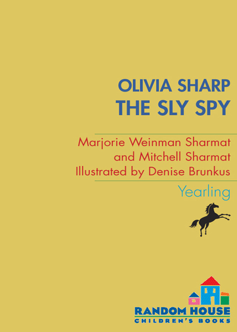 Cover image for book The Sly Spy