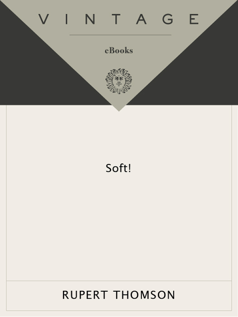 Cover image for book Soft!