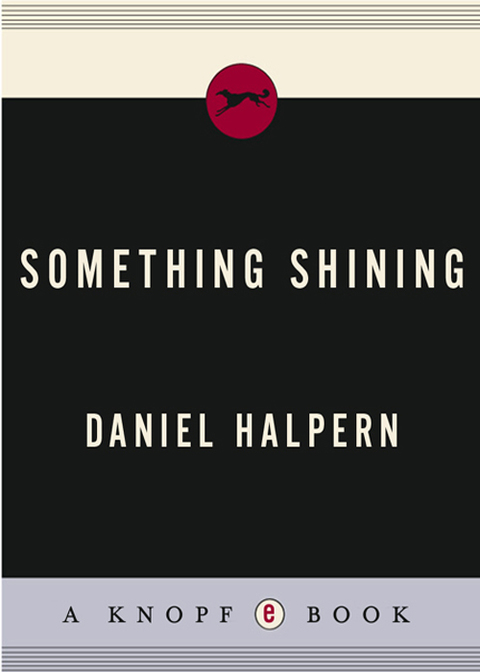 Cover image for book Something Shining