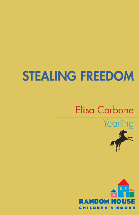 Cover image for book Stealing Freedom