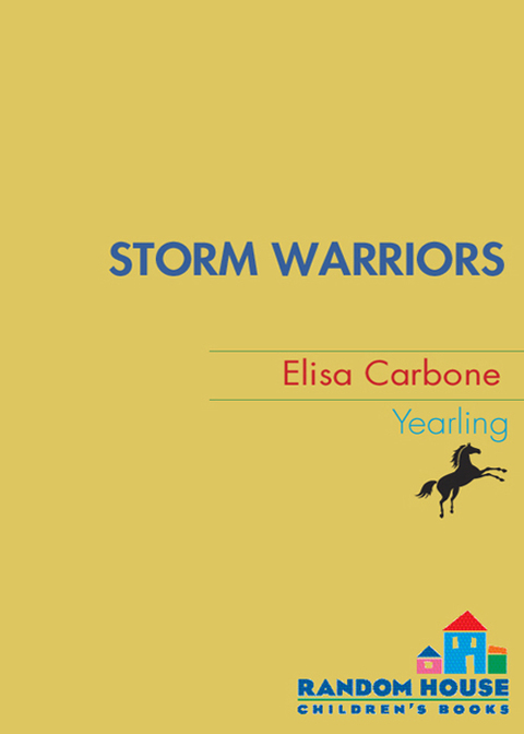 Cover image for book Storm Warriors