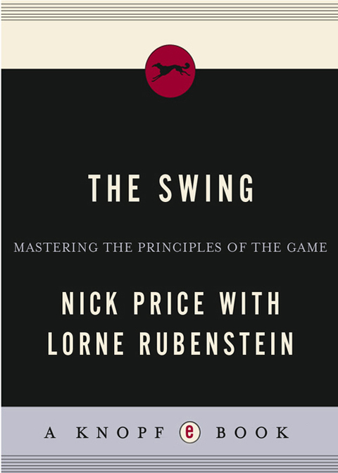 Cover image for book The Swing