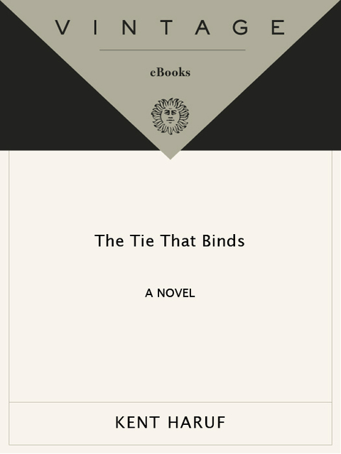 Cover image for book The Tie That Binds