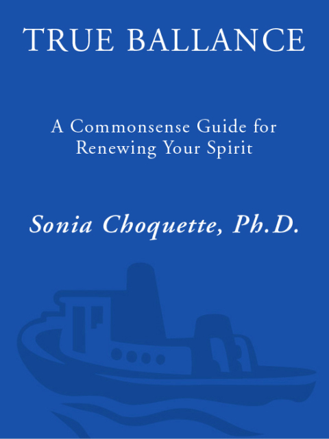 Cover image for book True Balance