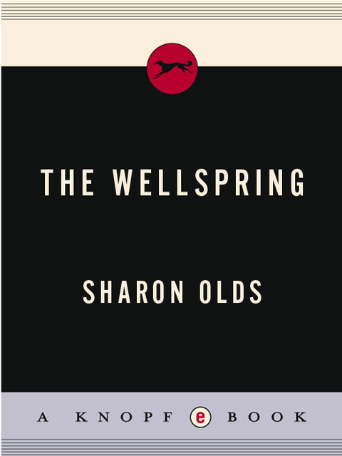 Cover image for book The Wellspring