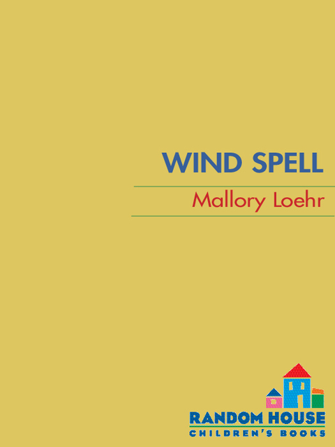 Cover image for book Wind Spell