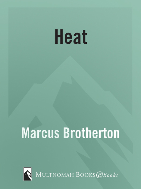 Cover image for book Heat