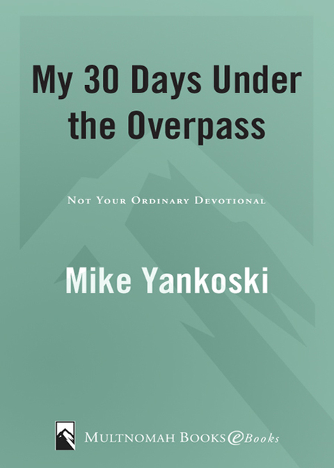 Cover image for book My 30 Days Under the Overpass