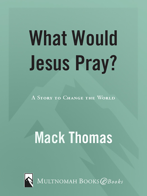 Cover image for book What Would Jesus Pray?