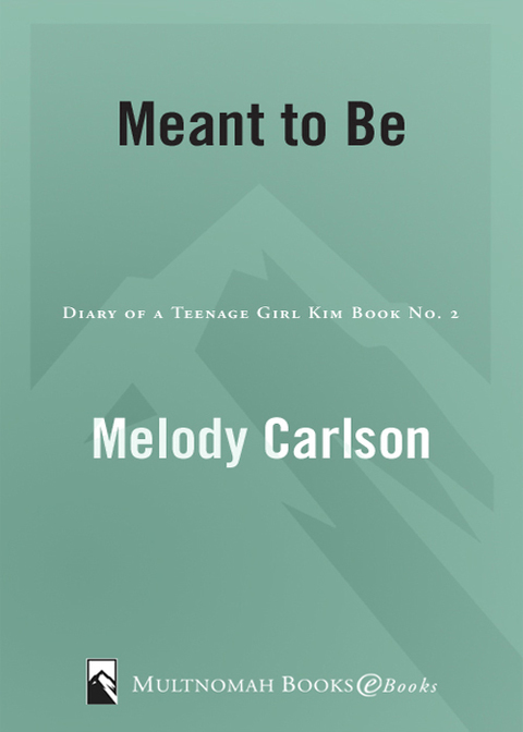 Cover image for book Meant to Be