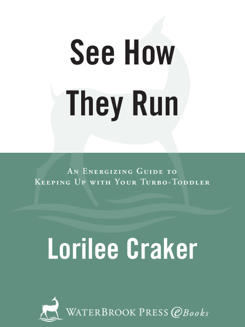 Cover image for book See How They Run