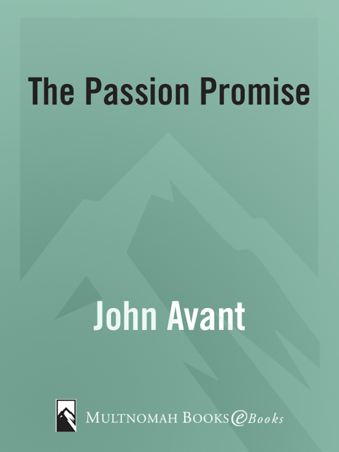 Cover image for book The Passion Promise