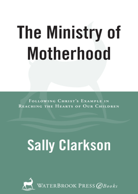 Cover image for book The Ministry of Motherhood