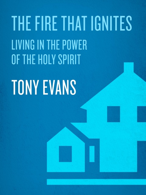 Cover image for book The Fire That Ignites