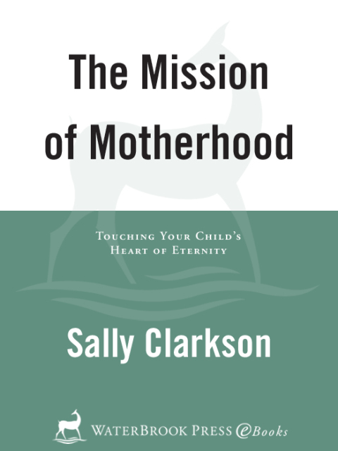 Cover image for book The Mission of Motherhood