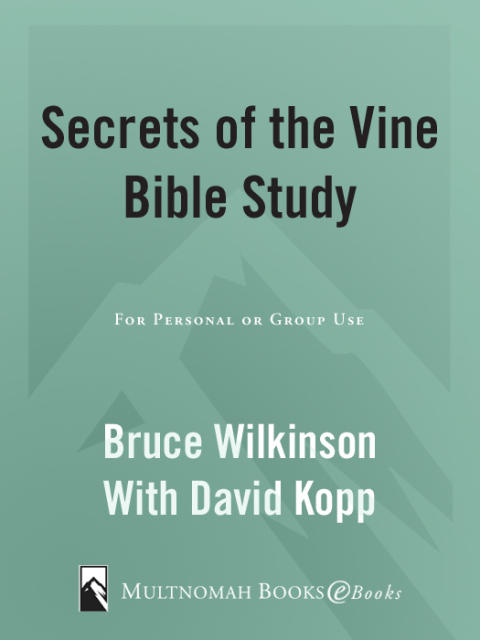 Cover image for book Secrets of the Vine Bible Study