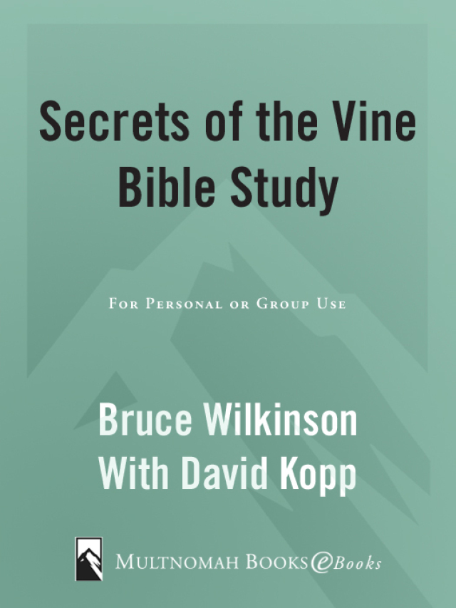 Secrets of the Vine Bible Study