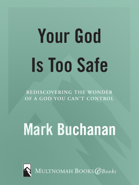 Cover image for book Your God is Too Safe