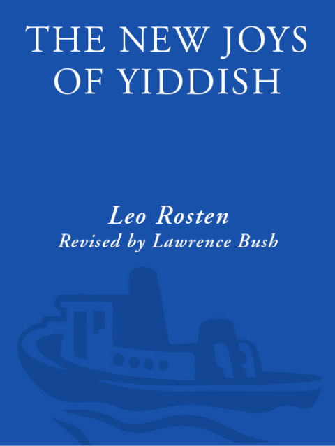 Cover image for book The New Joys of Yiddish