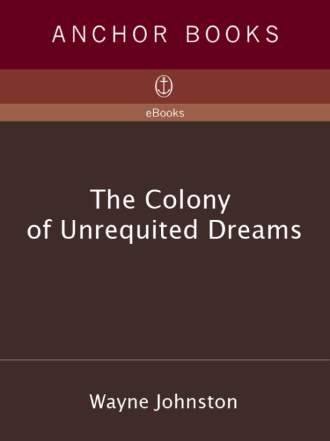 Cover image for book The Colony of Unrequited Dreams