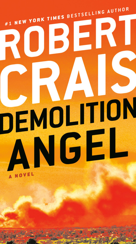 Cover image for book Demolition Angel