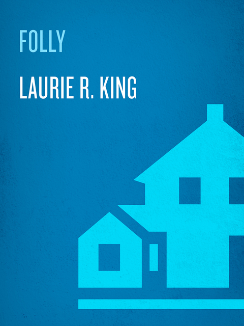 Cover image for book Folly