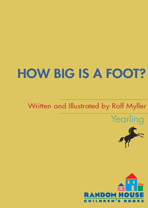 Cover image for book How Big Is a Foot?