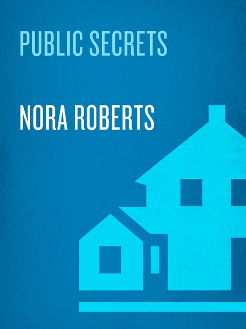 Cover image for book Public Secrets