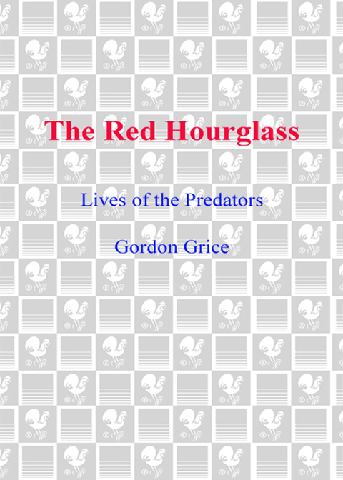 Cover image for book The Red Hourglass