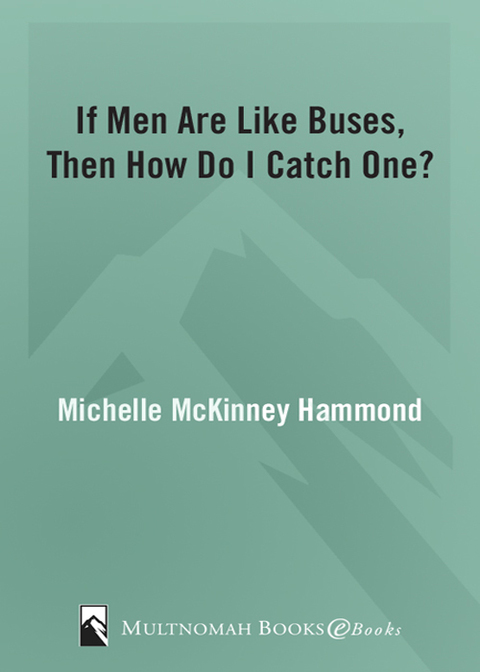 Cover image for book If Men Are Like Buses, Then How Do I Catch One?