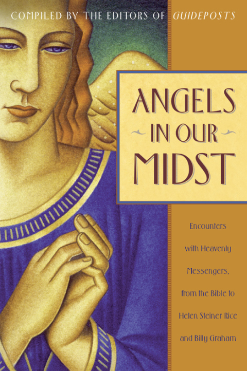 Cover image for book Angels in Our Midst