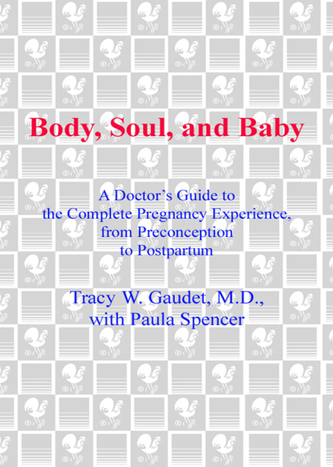 Cover image for book Body, Soul, and Baby