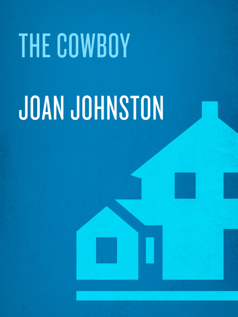 Cover image for book The Cowboy