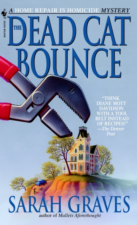 Cover image for book The Dead Cat Bounce