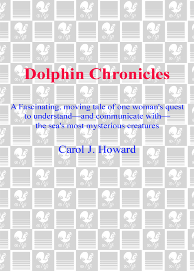 Dolphin Chronicles