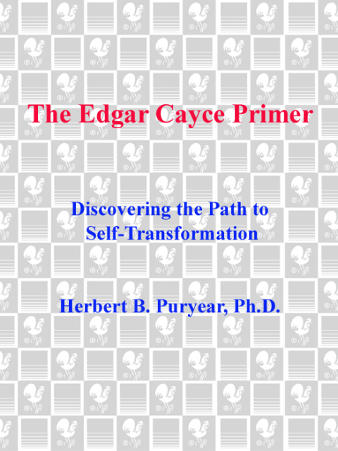 Cover image for book The Edgar Cayce Primer