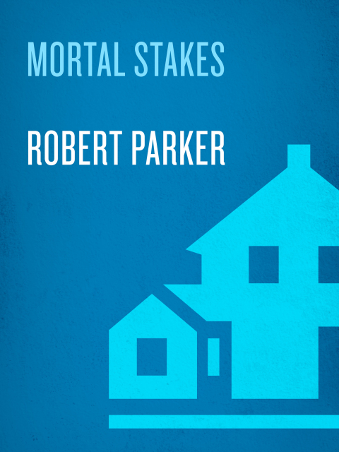 Cover image for book Mortal Stakes