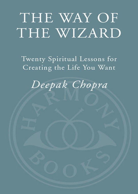 Cover image for book The Way of the Wizard