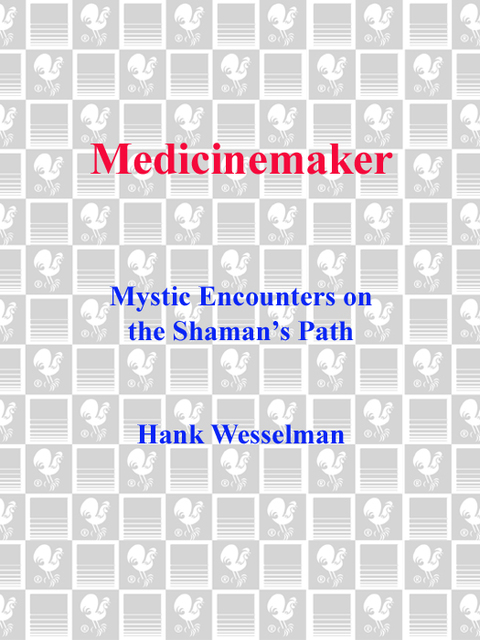 Cover image for book Medicinemaker