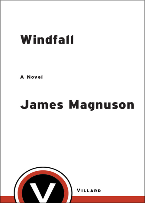 Cover image for book Windfall