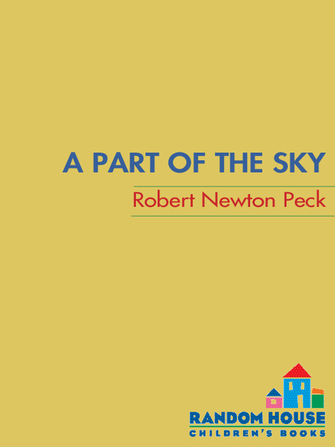 Cover image for book A Part of the Sky