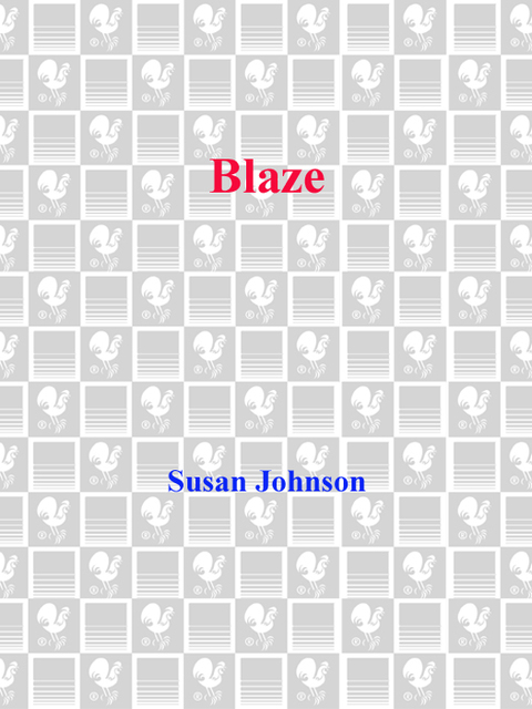 Cover image for book Blaze