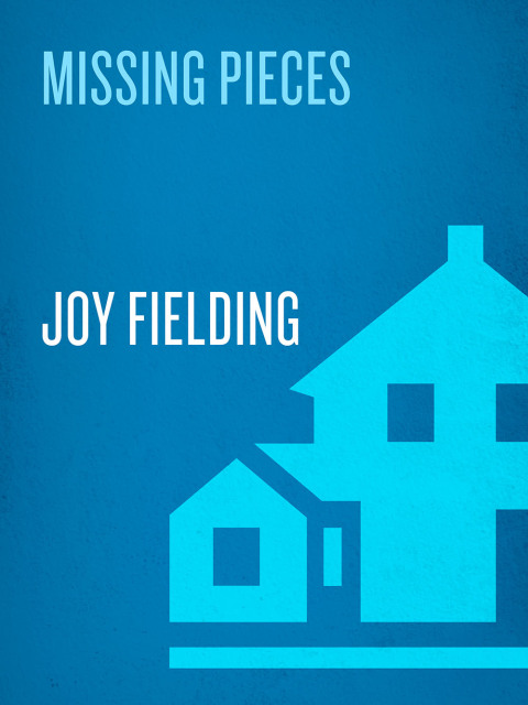 Cover image for book Missing Pieces