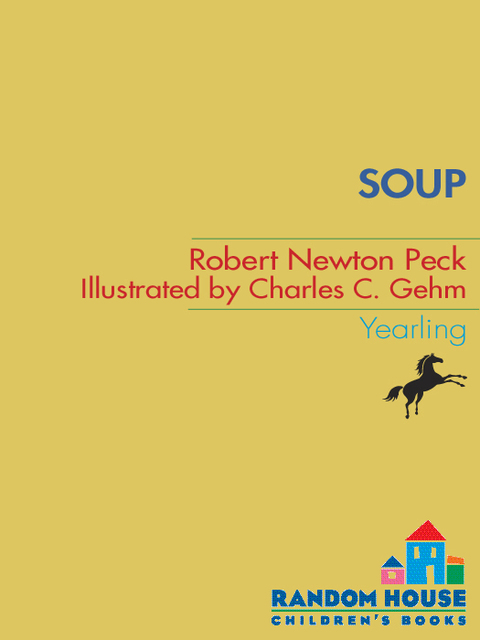Cover image for book Soup