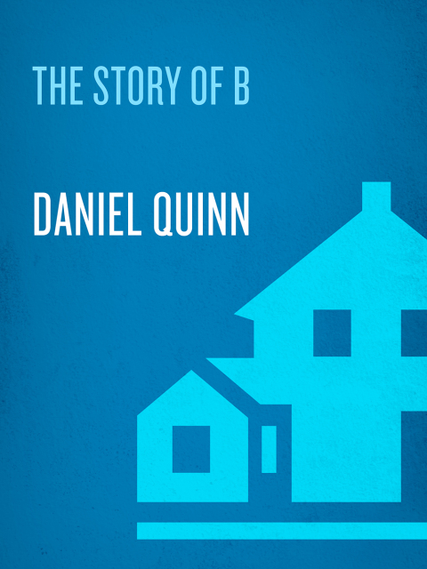 Cover image for book The Story of B