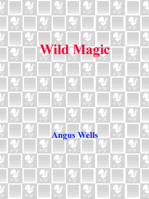Cover image for book Wild Magic