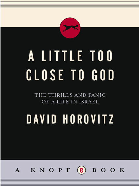 Cover image for book A Little Too Close to God