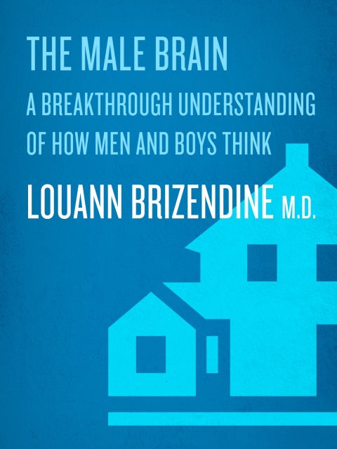 Cover image for book The Male Brain