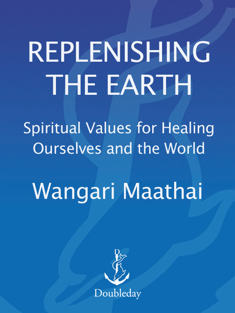 Cover image for book Replenishing the Earth